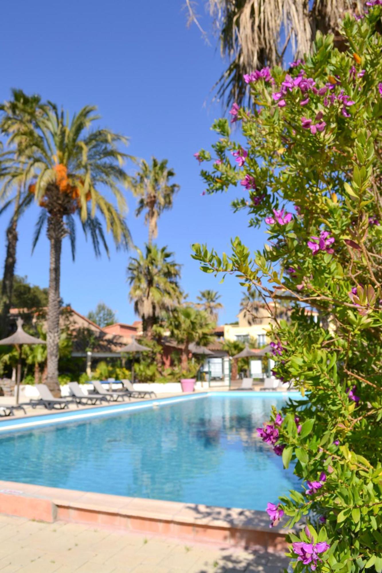 Jolie Et Coquet Appartement T2 - Caicos 45 Canet-en-Roussillon Eksteriør bilde